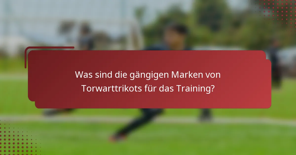 Was sind die gängigen Marken von Torwarttrikots für das Training?