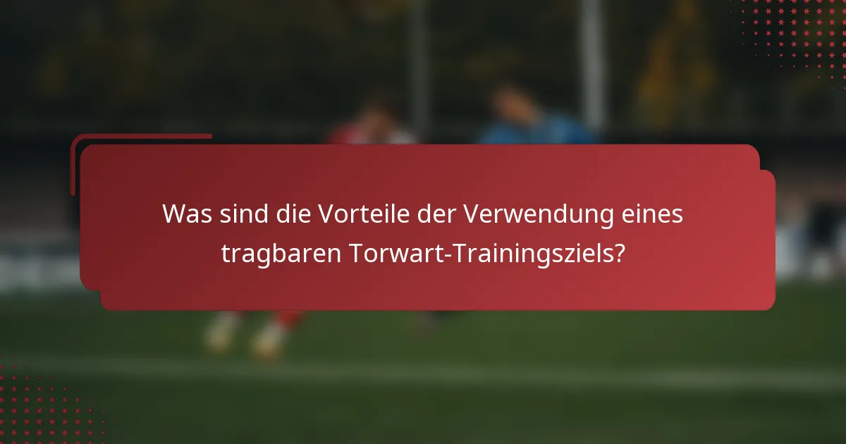 Was sind die Vorteile der Verwendung eines tragbaren Torwart-Trainingsziels?