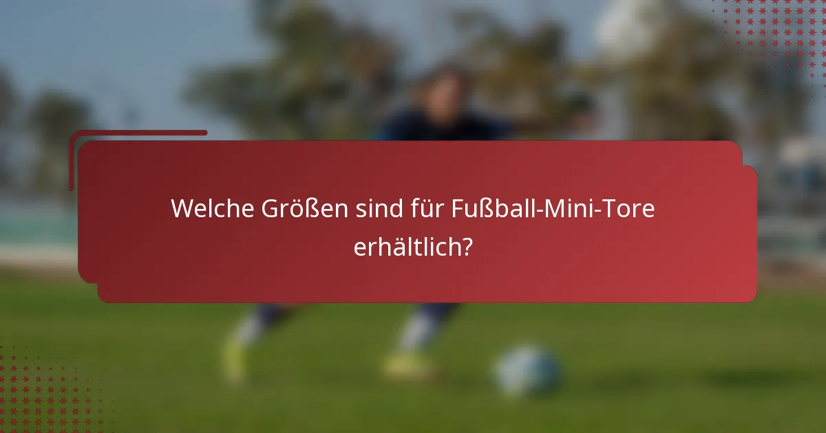 Welche Größen sind für Fußball-Mini-Tore erhältlich?