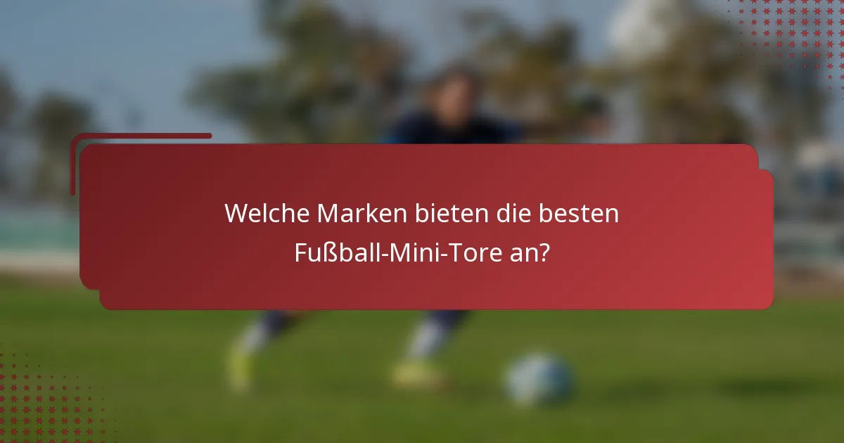 Welche Marken bieten die besten Fußball-Mini-Tore an?