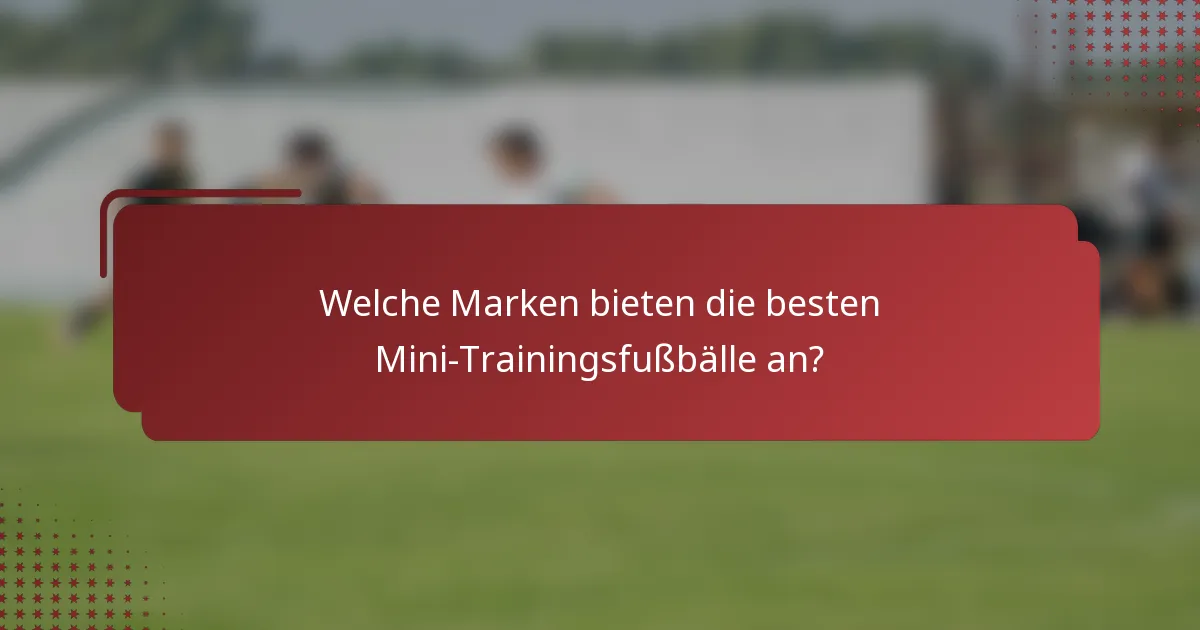Welche Marken bieten die besten Mini-Trainingsfußbälle an?