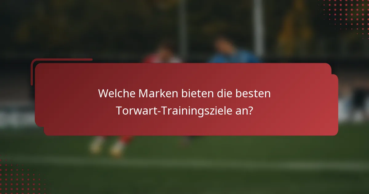 Welche Marken bieten die besten Torwart-Trainingsziele an?