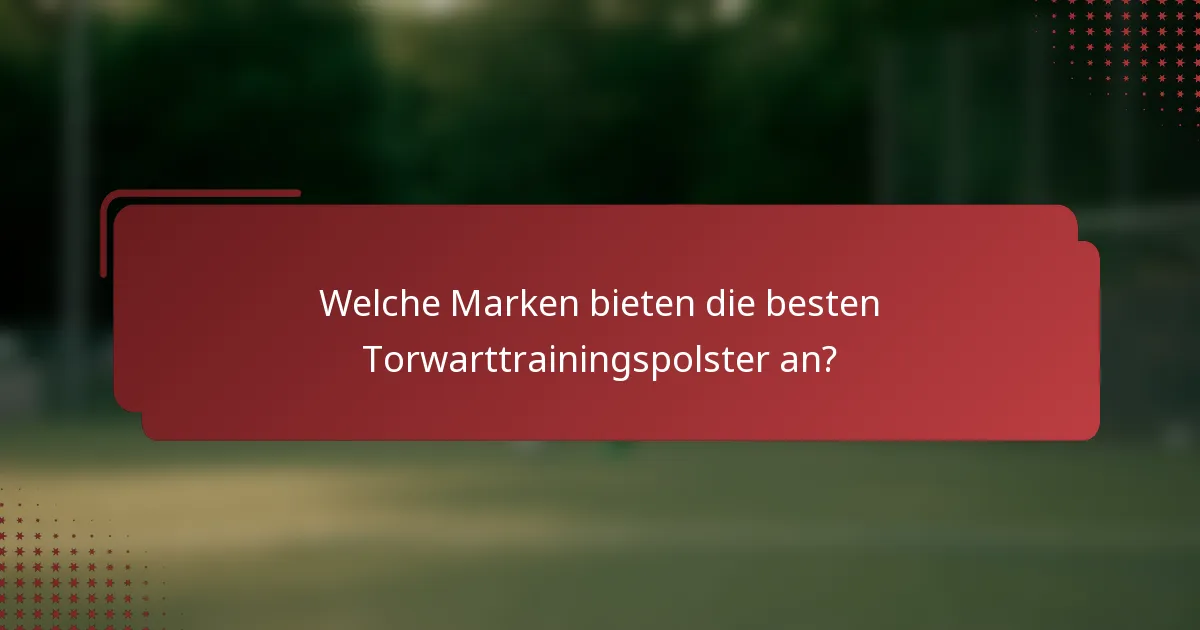 Welche Marken bieten die besten Torwarttrainingspolster an?