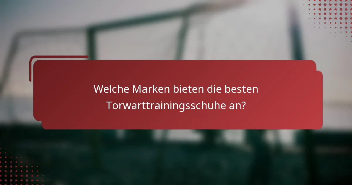Welche Marken bieten die besten Torwarttrainingsschuhe an?