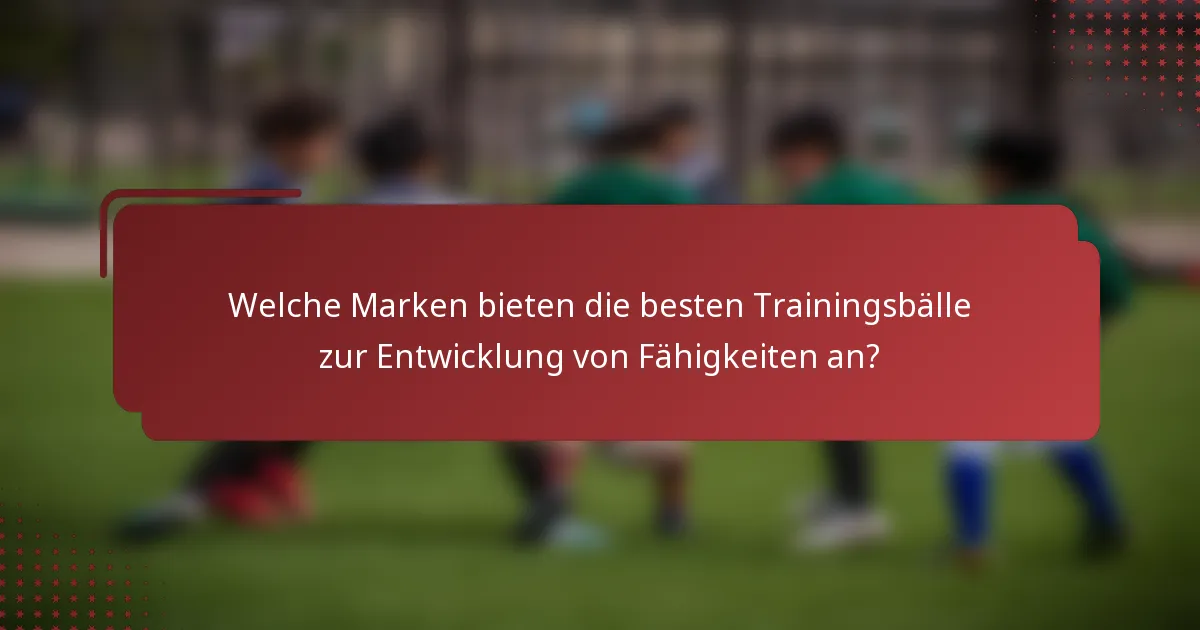 Welche Marken bieten die besten Trainingsbälle zur Entwicklung von Fähigkeiten an?