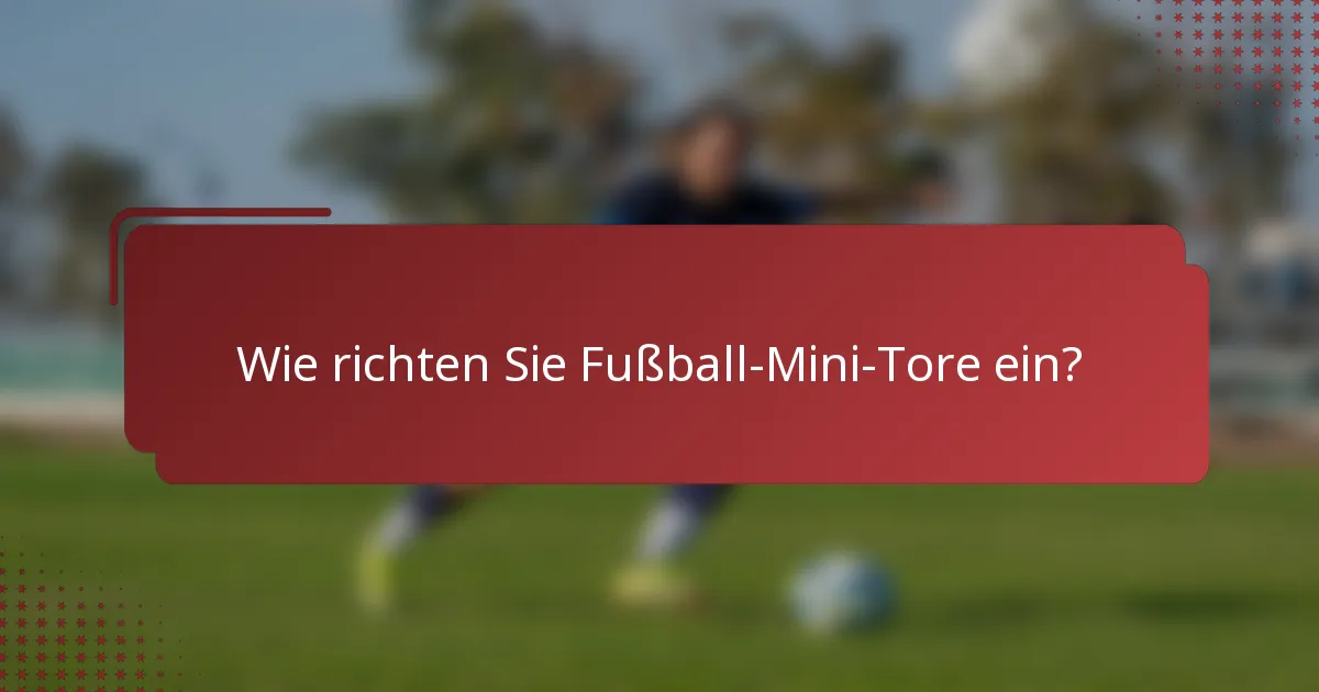 Wie richten Sie Fußball-Mini-Tore ein?