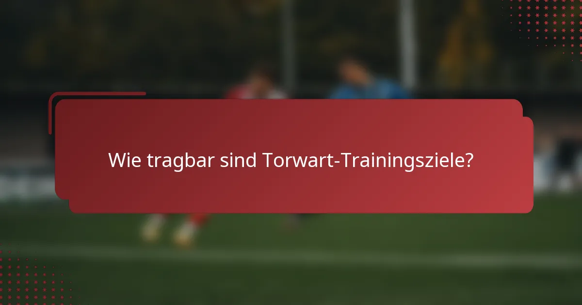 Wie tragbar sind Torwart-Trainingsziele?